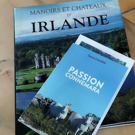 Maison De Campagne Au Coeur D'Un Elevage De Poneys Connemara Le Landreau エクステリア 写真